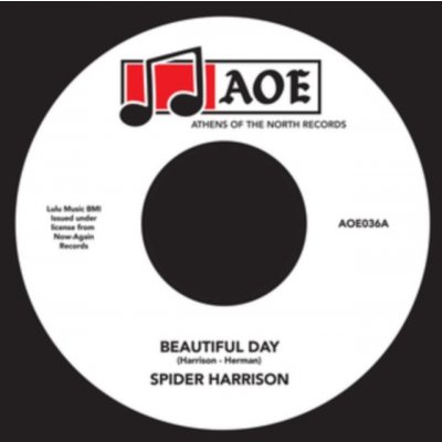 Beautiful Day - Spider Harrison LP – Zboží Mobilmania