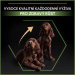 Purina Pro Plan Large Puppy Robust Healthy Start kuře 2 x 3 kg – Hledejceny.cz