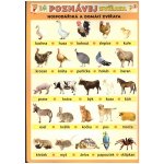 Poznávej zvířata - Hospodářská a domácí zvířata - Kupka Petr a kolektiv – Hledejceny.cz