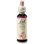 Bachovy květové esence Modřín opadavý Larch 20 ml – Hledejceny.cz