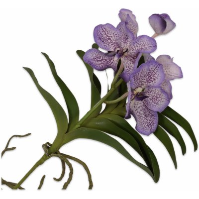 Orchidej (phalaenopsis) s listem Vanda fialová V42 cm