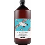 Davines NATURALTECH Well-Being hydratační kondicionér 1000 ml – Zboží Dáma