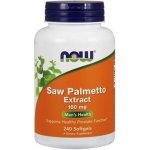 Now Foods Foods Saw Palmetto Extract 160 mg 240 softgels – Hledejceny.cz