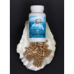 Marine Health Foods Oystermax extrakt z ústřic 120 kapslí – Hledejceny.cz