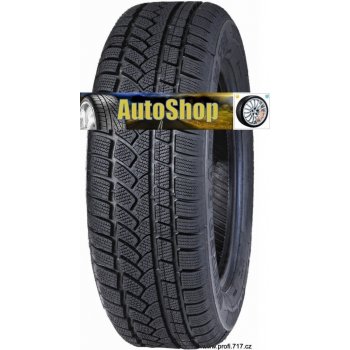 Protektory Praha W 790 195/65 R15 91T