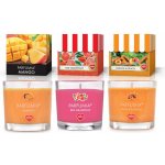 PARFUMIA DELICATES 3 × 55 ml – Zboží Mobilmania