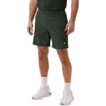 Björn Borg Ace 9' shorts sycamore – Hledejceny.cz