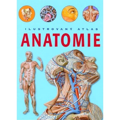 Anatomie Ilustrovaný atlas – Zbozi.Blesk.cz