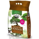 RAŠELINA SOBĚSLAV Substrát PREMIUM pro bonsaje 5 l – Zbozi.Blesk.cz