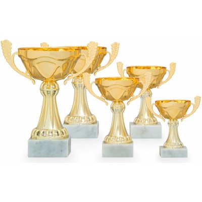Sportovní poháry EKONOM 33727 1 14 cm – Zboží Dáma