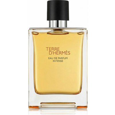 HERMÈS Terre d’Hermès Intense parfémovaná voda pánská 175 ml – Hledejceny.cz