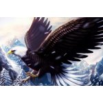 Norimpex Diamantové malování Orel 30 x 40 cm – Sleviste.cz