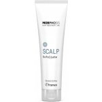 Framesi Peeling na pokožku hlavy 150 ml – Hledejceny.cz