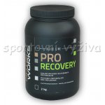 NutriWorks Pro Recovery 2000 g – Zboží Dáma