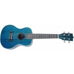 Tanglewood TWT 3 – Zbozi.Blesk.cz