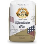 Caputo mouka typ 0 Manitoba Oro 1 kg – Zboží Dáma