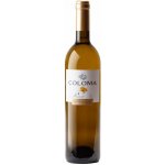 Bodegas Coloma Muscat Seco blanco suché bílé 2024 12,5% 0,75 l (holá láhev) – Hledejceny.cz