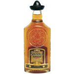 Sierra Antiguo Anejo 100% Agave 40% 0,7 l (holá láhev) – Zboží Dáma