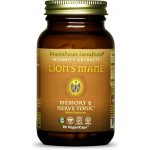 Lion’s mane Lví hříva Health Force 90 kapslí – Hledejceny.cz