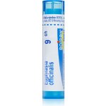EUPHRASIA OFFICINALIS POR 30CH GRA 1X4G – Hledejceny.cz