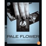 Pale Flower - The Criterion Collection BD – Hledejceny.cz