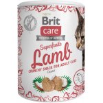 Brit Care Snack Superfruits Lamb Adult 100 g – Zboží Mobilmania