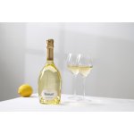 Ruinart Blanc De Blancs 12,5 % 0,75 l (holá láhev) – Zboží Dáma