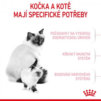 Royal Canin Mother & BabyCat 2 kg