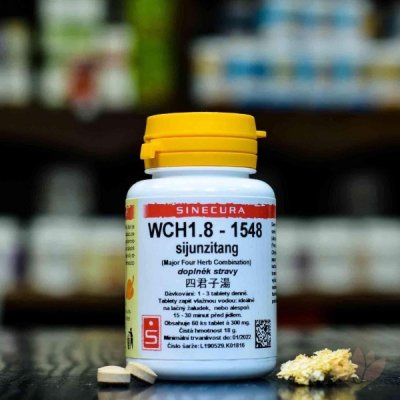 Pragon WCH1.8 1548 36 tablet – Hledejceny.cz