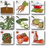 Betaxa Pexetrio: Ovoce a zelenina – Zboží Mobilmania