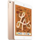 Apple iPad mini Wi-Fi 256GB Gold MUU62FD/A