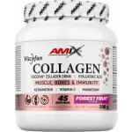 Amix Collagen Viscofan chocolate 300 g – Hledejceny.cz