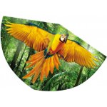 Günther PAPAGEI 75x48 cm – Sleviste.cz