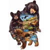 Puzzle SunsOut Cynthie Fisher Bear Family Adventure 1000 dílků