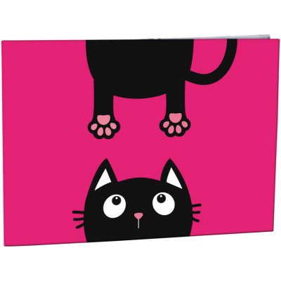 STIL Desky na číslice Helma Crazy Kitten – Zboží Mobilmania