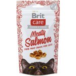 Brit Care Cat Snack Superfruits Salmon 100 g – Zboží Mobilmania