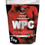 Koliba WPC 80 protein 4200 g – Hledejceny.cz