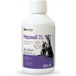 Lab-v Hepasil Dog & Cat přípravek pro zlepšení funkce jater pro psy a kočky 250 ml – Hledejceny.cz