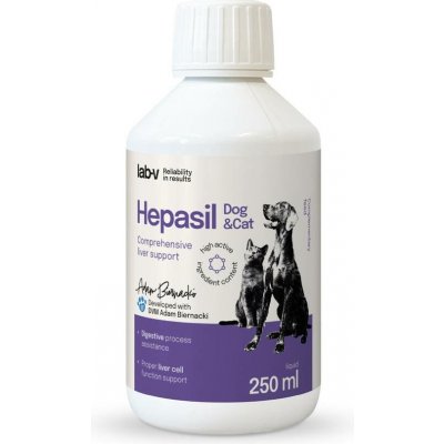 Lab-v Hepasil Dog & Cat přípravek pro zlepšení funkce jater pro psy a kočky 250 ml – Hledejceny.cz