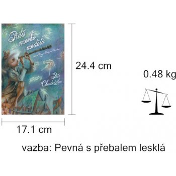 Příliš mnoho andělů - Petr Chudožilov, Zuzana Bočkayová Bruncková