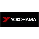 Yokohama BluEarth Winter V906 205/55 R16 91T – Hledejceny.cz