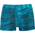 Aquos Lerry pánské plavky modré – Hledejceny.cz