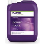 Plagron-roots 0, 1 l – Hledejceny.cz