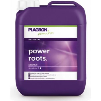 Plagron-roots 0, 1 l