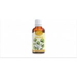 Gotukola tinktura z pupenů 50 ml – Hledejceny.cz