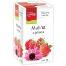 Apotheke Malina a jahoda s echinaceou čaj 20 x 2 g