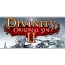 Divinity: Original Sin 2