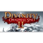 Divinity: Original Sin 2 – Zboží Živě