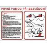 Bezpečnostní značky 7787 A3 plast První pomoc při bezvědomí – Hledejceny.cz