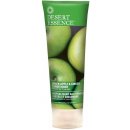 Desert Essence Conditioner ze zeleného jablka a zázvoru 236 ml